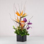 جعبه گل فانتزی استرلیتزیا (22) - VIP Shop