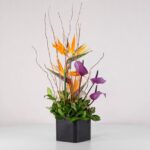 جعبه گل فانتزی استرلیتزیا (23) - VIP Shop