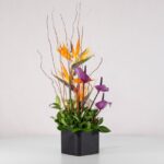 جعبه گل فانتزی استرلیتزیا (24) - VIP Shop