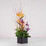 جعبه گل فانتزی استرلیتزیا (25) - VIP Shop