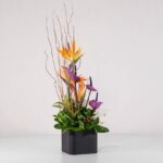 جعبه گل فانتزی استرلیتزیا (26) - VIP Shop