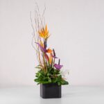 جعبه گل فانتزی استرلیتزیا (27) - VIP Shop