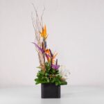 جعبه گل فانتزی استرلیتزیا (28) - VIP Shop