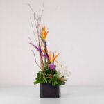 جعبه گل فانتزی استرلیتزیا (29) - VIP Shop