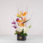 جعبه گل فانتزی استرلیتزیا (3) - VIP Shop