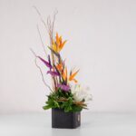 جعبه گل فانتزی استرلیتزیا (30) - VIP Shop