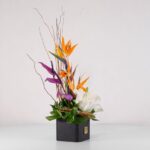 جعبه گل فانتزی استرلیتزیا (31) - VIP Shop