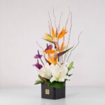 جعبه گل فانتزی استرلیتزیا (5) - VIP Shop