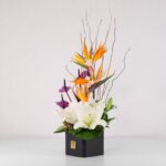جعبه گل فانتزی استرلیتزیا (6) - VIP Shop