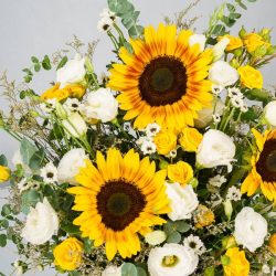 باکس گل آفتابگردان یک انتخاب عالی برای هدیه است.