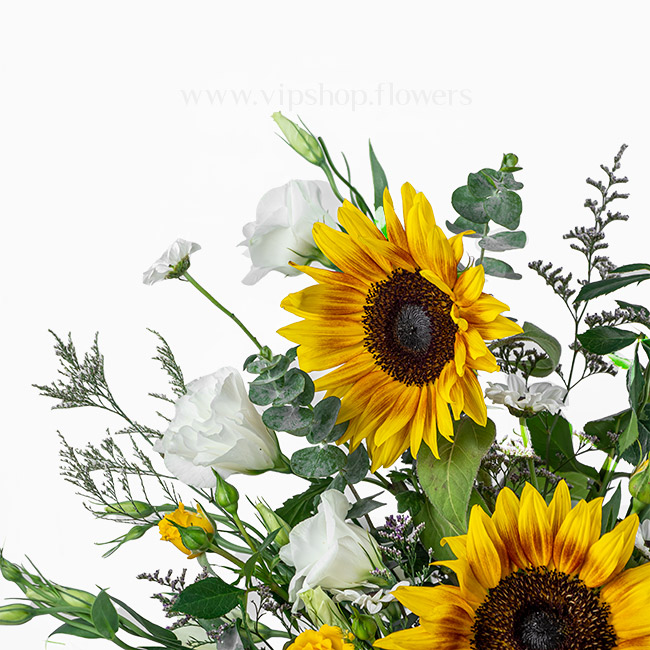 Sunflower box G1