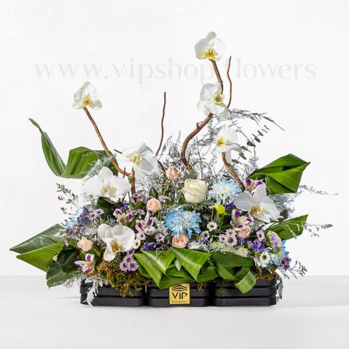 باکس گل جادویی گل ارکیده با تزئینات زیبا