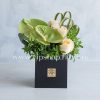 جعبه گل شماره 77