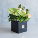 جعبه گل شماره 77