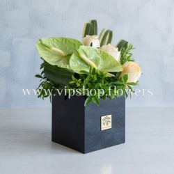 جعبه گل شماره 77