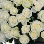 خرید باکس رز سفید 220 شاخه