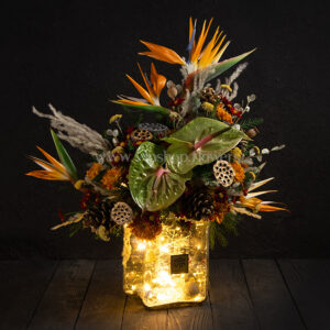 گل کریسمس یا ریسه رنگی زیبا