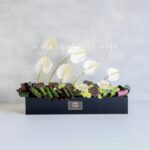 باکس گل ترحیم F19 آنتریوم -گل ترحیم شماره 19- گلفروشی آنلاین VIP Shop