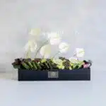 باکس گل ترحیم F19 آنتریوم -گل ترحیم شماره 19- گلفروشی آنلاین VIP Shop