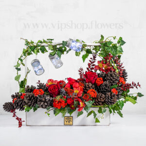 گل کریسمس شماره 8 چراغ های زیبا دارد.