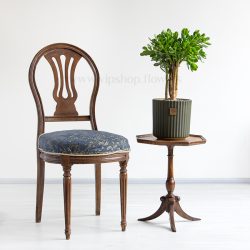 ابعاد کراسولا آواتا برای نگهداری در منزل مناسب است.