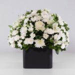 گل ترحیم رز داوودی (10)