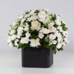 گل ترحیم رز داوودی (11)