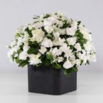 گل ترحیم رز داوودی (13)