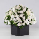 گل ترحیم رز داوودی (15)