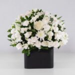 گل ترحیم رز داوودی (18)