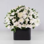 گل ترحیم رز داوودی (19)