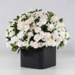 گل ترحیم رز داوودی (22)