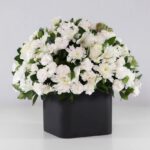 گل ترحیم رز داوودی (25)