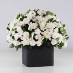 گل ترحیم رز داوودی (26)