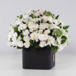 گل ترحیم رز داوودی (29)