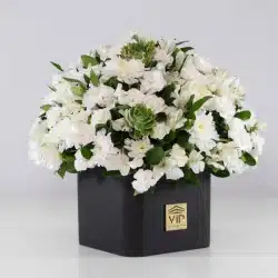 خرید اینترنتی گل داوودی
