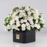 گل ترحیم رز داوودی (05)