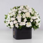 گل ترحیم رز داوودی (08)