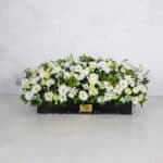 جعبه گل F35 رز داوودی لیسینتوس-جعبه گل شماره 91