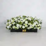 جعبه گل F35 رز داوودی لیسینتوس-جعبه گل شماره 91