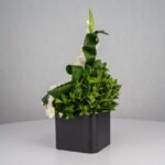 گل ترحیم F26 - Image 17