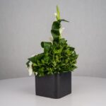 گل ترحیم F26 - Image 18