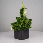 گل ترحیم F26 - Image 19