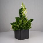 گل ترحیم F26 - Image 20