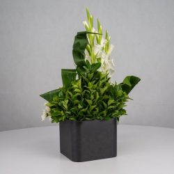 گل ترحیم F26 - 21