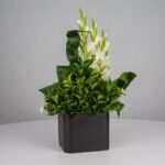 گل ترحیم F26 - Image 22