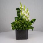 گل ترحیم F26 - Image 23