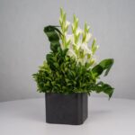 گل ترحیم F26 - Image 25