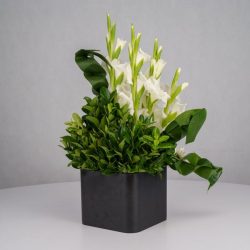 گل ترحیم F26 - 27