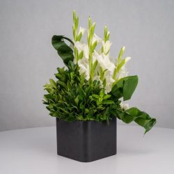 گل ترحیم F26 - 28